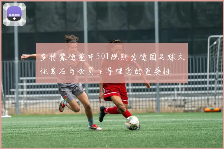 多特蒙德重申501规则为德国足球文化基石与会员主导理念的重要性